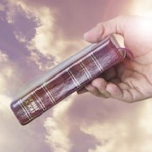 Meet your Posher, Marisabel